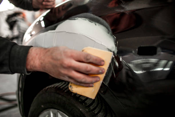 Bayview, CA Mold Removal Company