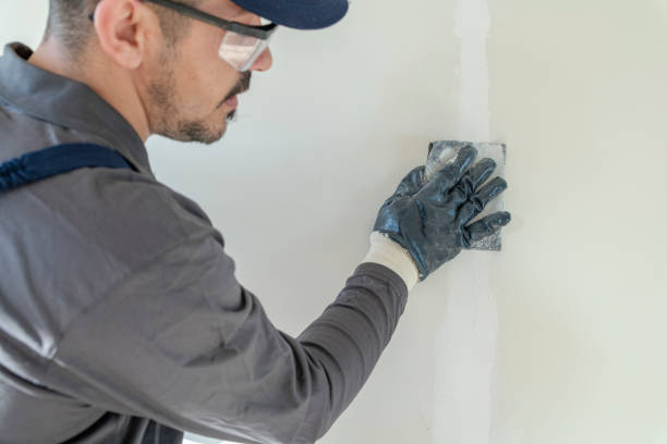 Mold Remediation for Vacation Homes in Bayview, CA